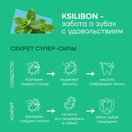 Жевательная резинка Ksilibon Gum Свежая мята, 30 шт
